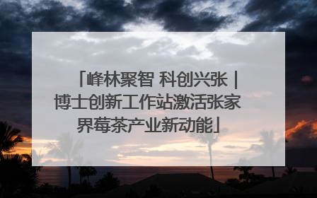 峰林聚智 科创兴张｜博士创新工作站激活张家界莓茶产业新动能