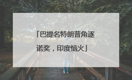 巴提名特朗普角逐诺奖，印度恼火