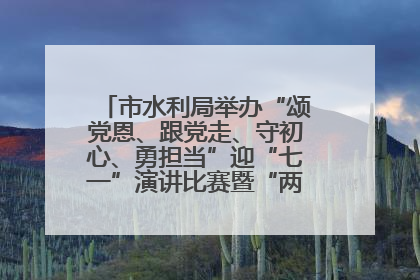 市水利局举办“颂党恩、跟党走、守初心、勇担当”迎“七一”演讲比赛暨“两优一先”表彰活动