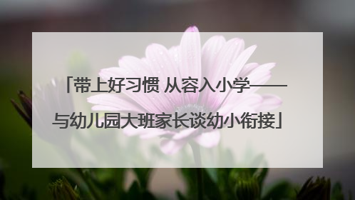 带上好习惯 从容入小学——与幼儿园大班家长谈幼小衔接