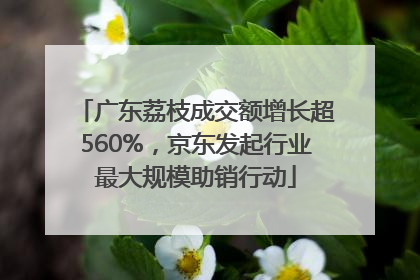 广东荔枝成交额增长超560%，京东发起行业最大规模助销行动
