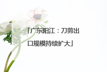 广东阳江：刀剪出口规模持续扩大