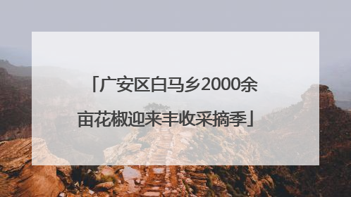 广安区白马乡2000余亩花椒迎来丰收采摘季