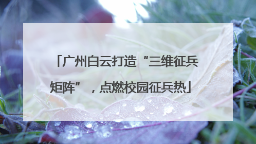 广州白云打造“三维征兵矩阵”，点燃校园征兵热