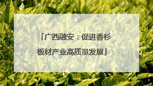 广西融安：促进香杉板材产业高质量发展