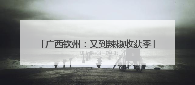 广西钦州：又到辣椒收获季