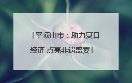 平顶山市：助力夏日经济 点亮非遗盛宴