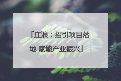 庄浪：招引项目落地 赋能产业振兴