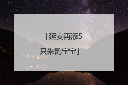 延安再添5只朱鹮宝宝