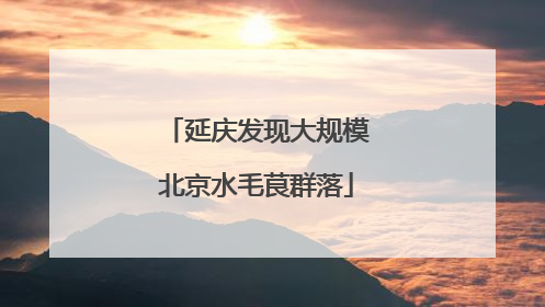 延庆发现大规模北京水毛茛群落