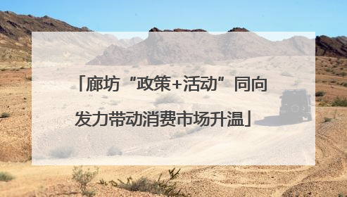 廊坊“政策+活动”同向发力带动消费市场升温