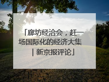 廊坊经洽会，赶一场国际化的经济大集｜新京报评论