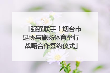 强强联手!烟台市足协与鹿扬体育举行战略合作签约仪式