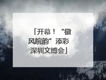 开幕！“徽风皖韵”添彩深圳文博会