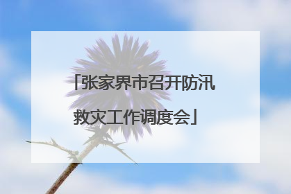 张家界市召开防汛救灾工作调度会