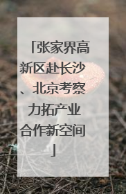 张家界高新区赴长沙、北京考察 力拓产业合作新空间