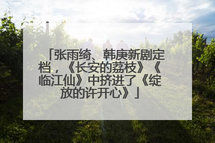 张雨绮、韩庚新剧定档，《长安的荔枝》《临江仙》中挤进了《绽放的许开心》