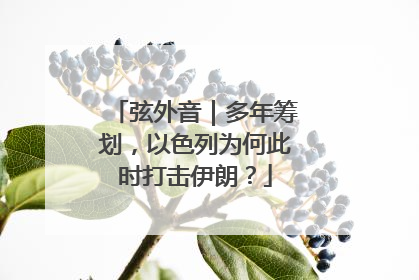 弦外音｜多年筹划，以色列为何此时打击伊朗？