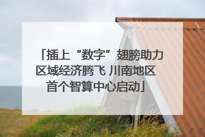 插上“数字”翅膀助力区域经济腾飞 川南地区首个智算中心启动