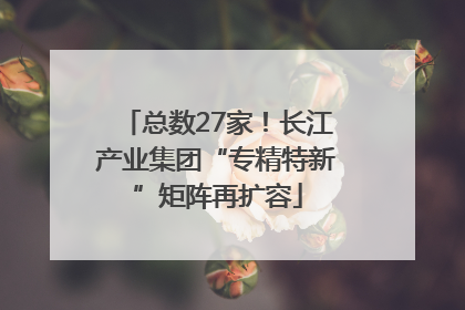 总数27家！长江产业集团“专精特新”矩阵再扩容