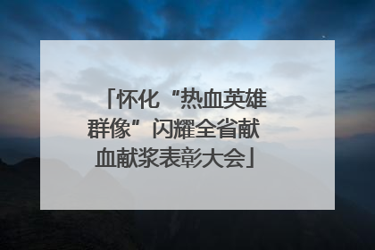 怀化“热血英雄群像”闪耀全省献血献浆表彰大会