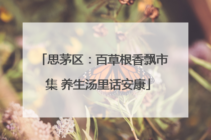 思茅区：百草根香飘市集 养生汤里话安康
