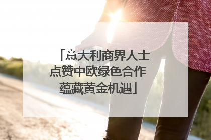 意大利商界人士点赞中欧绿色合作蕴藏黄金机遇