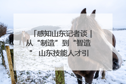 感知山东记者谈｜从“制造”到“智造” 山东技能人才引领产业升级