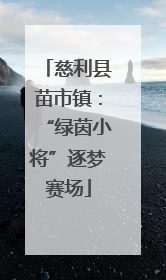 慈利县苗市镇：“绿茵小将”逐梦赛场