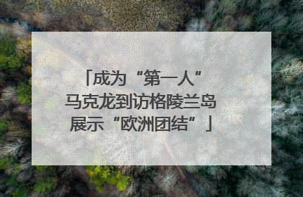 成为“第一人” 马克龙到访格陵兰岛展示“欧洲团结”