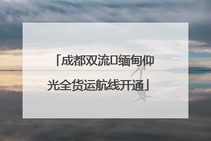 成都双流⇌缅甸仰光全货运航线开通