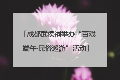 成都武侯祠举办“百戏端午·民俗巡游”活动