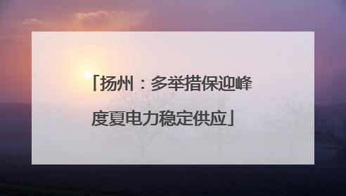 扬州：多举措保迎峰度夏电力稳定供应