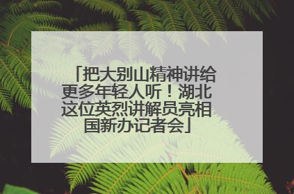 把大别山精神讲给更多年轻人听！湖北这位英烈讲解员亮相国新办记者会