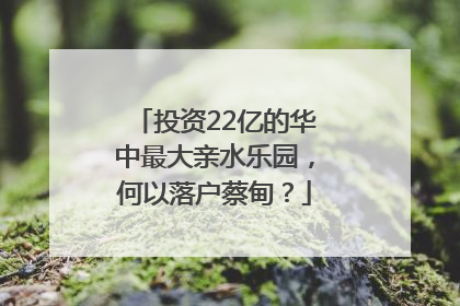 投资22亿的华中最大亲水乐园，何以落户蔡甸？