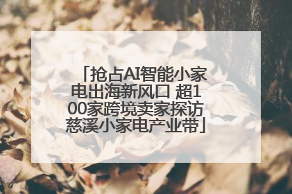 抢占AI智能小家电出海新风口 超100家跨境卖家探访慈溪小家电产业带