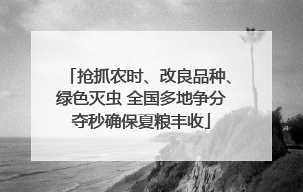 抢抓农时、改良品种、绿色灭虫 全国多地争分夺秒确保夏粮丰收