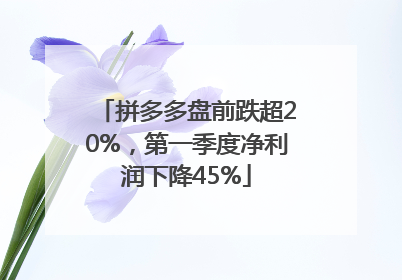 拼多多盘前跌超20%，第一季度净利润下降45%