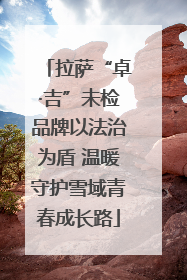拉萨“卓·吉”未检品牌以法治为盾 温暖守护雪域青春成长路
