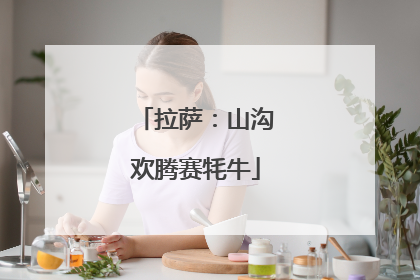 拉萨：山沟欢腾赛牦牛