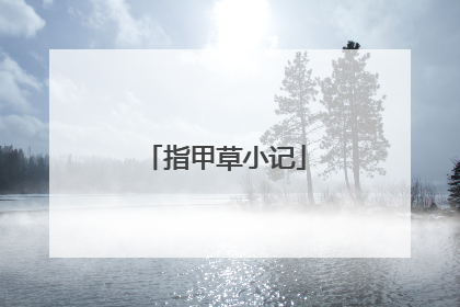 指甲草小记