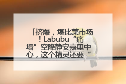 挤爆，堪比菜市场！Labubu“痛墙”空降静安嘉里中心，这个精灵还要“突袭”便利店？