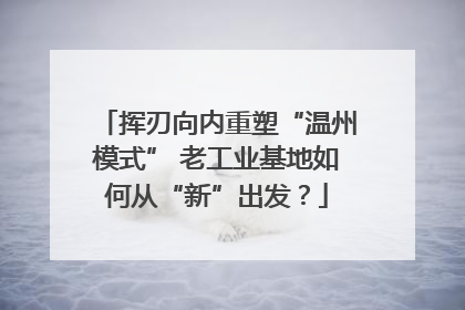 挥刃向内重塑“温州模式” 老工业基地如何从“新”出发？
