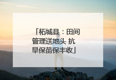 柘城县：田间管理送地头 抗旱保苗保丰收