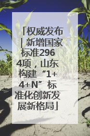 权威发布｜新增国家标准2964项，山东构建“1+4+N”标准化创新发展新格局