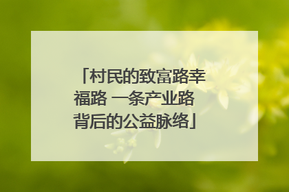 村民的致富路幸福路 一条产业路背后的公益脉络