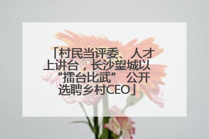 村民当评委、人才上讲台，长沙望城以“擂台比武” 公开选聘乡村CEO