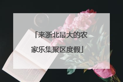 来浙北最大的农家乐集聚区度假