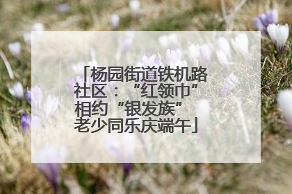 杨园街道铁机路社区：“红领巾”相约“银发族” 老少同乐庆端午