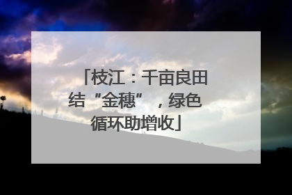 枝江：千亩良田结“金穗”，绿色循环助增收